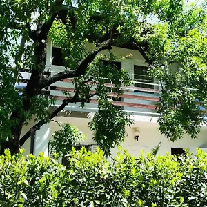 Felix Biograd Apartman